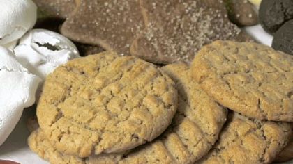 Sunflower seed butter cookies.