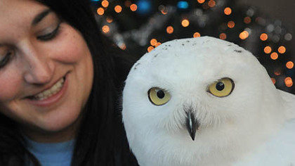 Cathy Schlott, manager of animal training at the National Aviary, poses with Fleury, a 2-year-old snowy owl. Fleury will be appearing with fellow Aviary resident, Simon, an African penguin, on Tuesday's "Today" show.