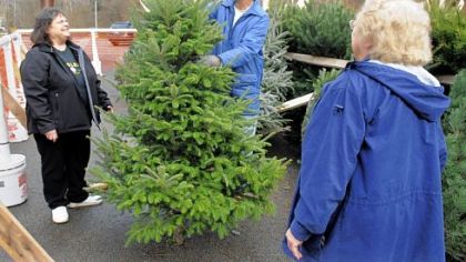 Lou Shaw, a volunteer fireman with the Rainbow Volunteer Fire Company in White Oak, shows Nancy Gerstner, left, and her mom Marge Steelmack, both of White Oak, a tree from the company's lot. They were shopping for Mrs. Steelmack who always buys from the firefighters.