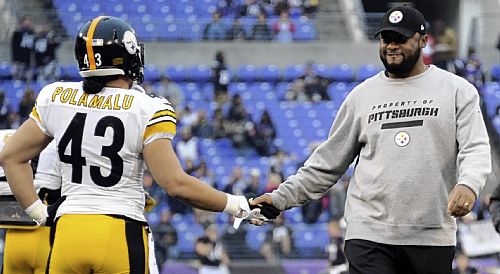 Steelers' Polamalu takes different approach after injuries