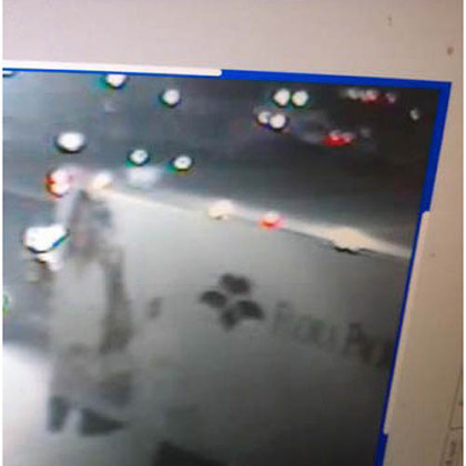 Pittsburgh Police say this vehicle may have been involved in a fatal collision today in the Strip District. Anyone with information is asked to call 412-323-7161. Callers may remain anonymous, police said.