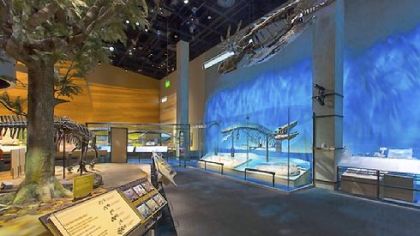 Perot Museum in Dallas.