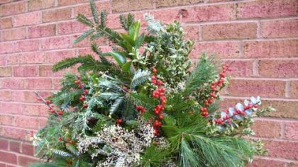 A basket of various greens including pine and holly from Toadflax.