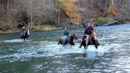 Trout wrangler riders ford the Bluestone River. Farthest rider from camera, on horse on far bank is Edwa Meek. Nearest rider on the far riverbank is Dale Davis. Then, from left, riders in the river are: Preston Snow, Aaron Moyer and guide Anthony Lilly.